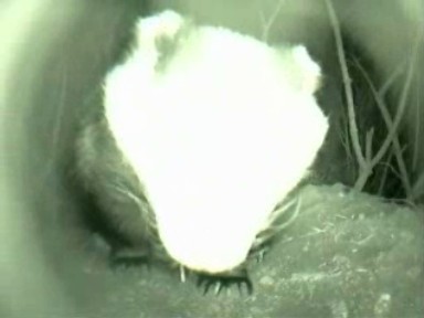 Adsjusting the camera
